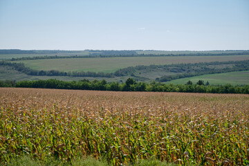 Ukraine donetsk landscape