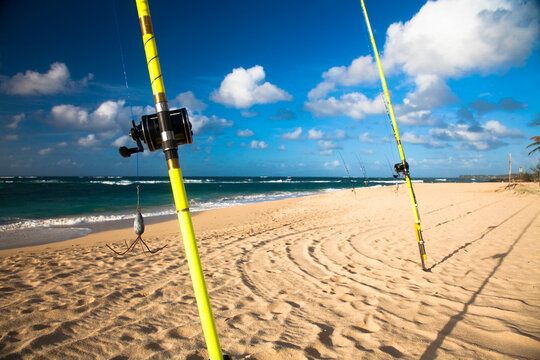 A row of fishing rods on the beach,