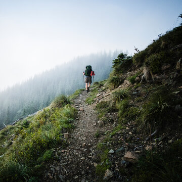 Rear view of a male backpacker walking the Pacific Crest Trail.