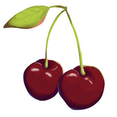 Cherry illustration