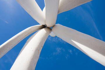 Bleached gray whale bones on the shores of Laguna San Ignacio, Baja California, Mexico.