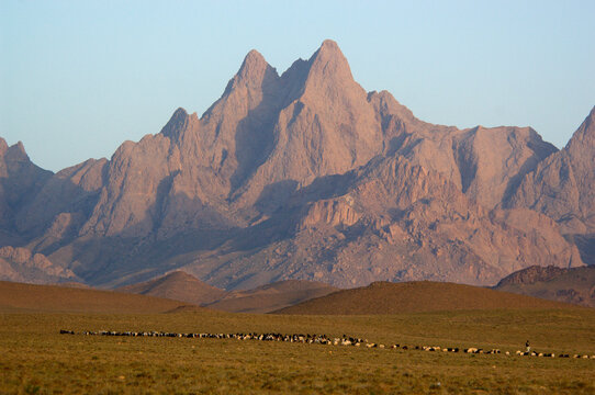A herd of sheep and goats graze in the dry steppe below the dramatic peak of Dau Shakh, in the Gurian District, Herat Province
