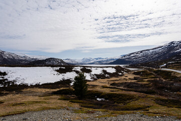 norway mountain top with dry yellow grass and in some places there is white snow on the mountains above which there is a blue sky with white clouds