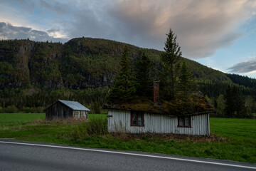 Fototapeta na wymiar an old house in the Norwegian mountains with trees growing through it