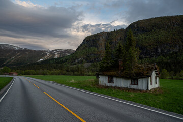 an old house in the Norwegian mountains with trees growing through it, an asphalt road next to it