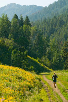 A young woman runs along a trail with wildflowers in the Cache Creek area near Jackson, Wyoming.