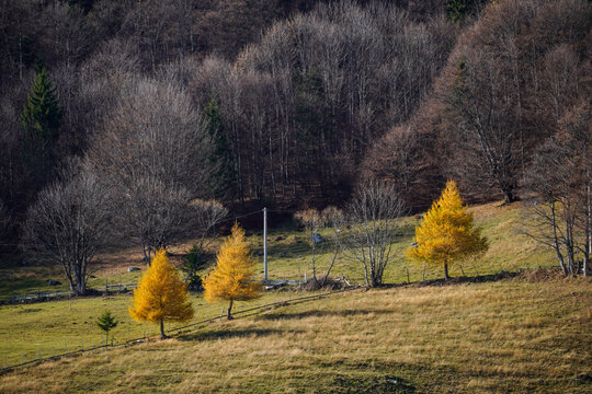 Autumn landscape in Pestera Village, Brasov, Romania 
