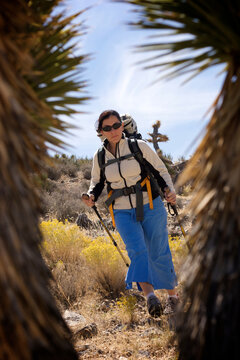 A woman  hiking in th Mt Charleston Wilderness Area just below Mummy Mountain.