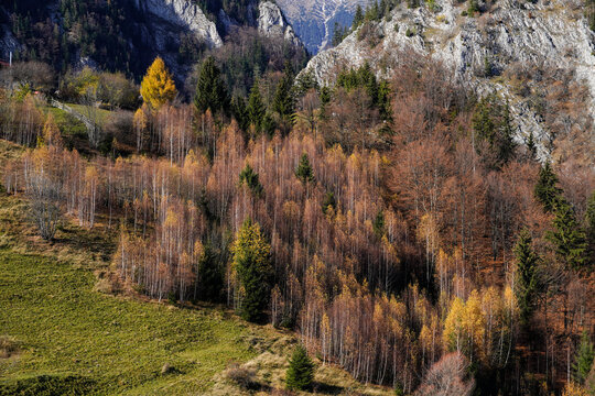autumn in the mountains, Pestera Village, Brasov, Romania 