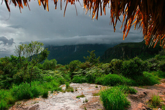 Mount Roraima, also known as Roraima tepui, Mount Roraima Roraima or just with 2810 meters, is the highest plateaus chain tepuis (table mountains) saw Pacaraima point in South Amer