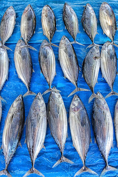 Fish for sale in market, Kumarakanda, Sri Lanka