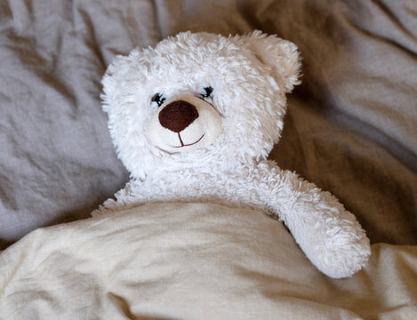 Im Bett liegender weisser Teddybaer