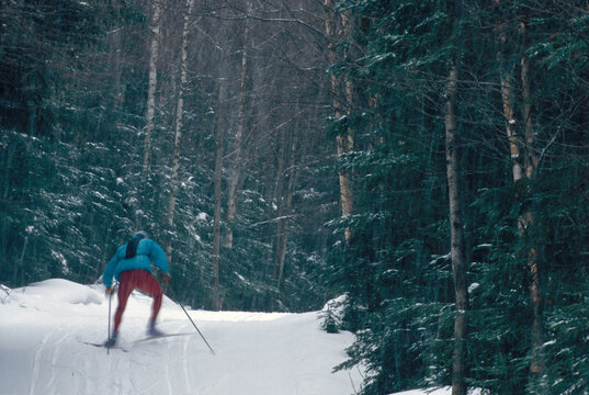 Cross country skiing at Bretton Woods.