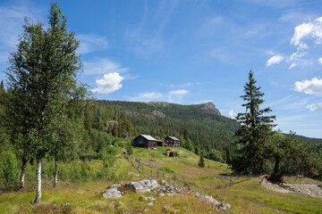 an old wooden house on a hill where there is a stately green fir and on the other side there are small birch trees above which there are a fabulous number of blue clouds with white fluffy clouds