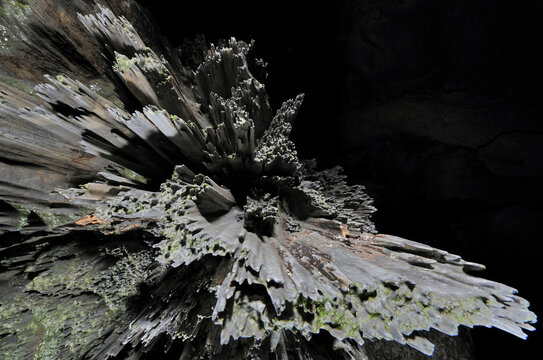 The giant caves of Mulu National Park, Sarawak, Borneo, Malaysia