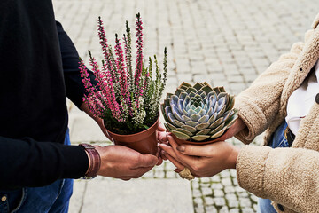 Man and woman holding a purple sempervivum succulent plant and blooming violet heather plant