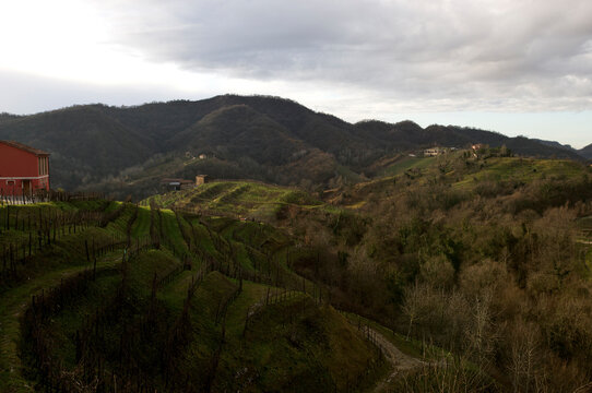 Prosecco, Italy's answer to champagne.
