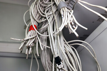 Wiązka kabli internetowych sieciowych dostarcza internet do domu. 