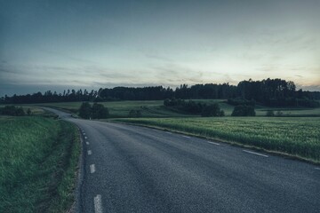 Fototapeta premium road in the countryside