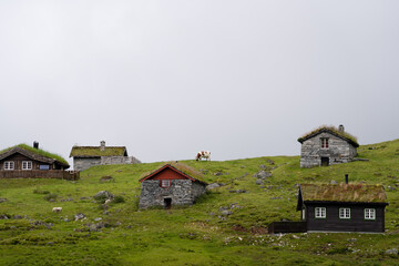 a gloomy day in the mountains where there is fog and green grass where there are some small old wooden houses between which the shepherds have died