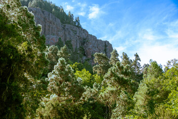 Impressionen einer Wanderung von Aguamansa nach La Caldera  und Pinolere. In der Gemeinde La Orotava auf der Kanareninsel Teneriffa.