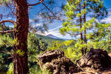 Fototapeta premium Impressionen einer Wanderung von Aguamansa nach La Caldera und Pinolere. In der Gemeinde La Orotava auf der Kanareninsel Teneriffa.