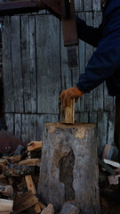 Chopping firewood, preparing for winter, harvesting firewood