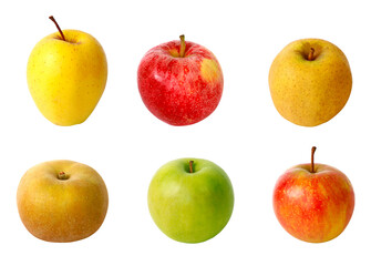 Différentes variétés de pommes	