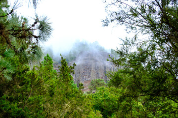 Plakat Die Landschaft bei La Caldera auf der Kanareninsel Teneriffa in der Gemeinde La Orotava. Nebel und Dunst zieht auf. 