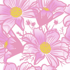 Cosmos pink flower seamless pattern. Vector illustration