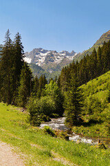 a beautiful alpine landscape with a creek, lush green forest and the Alps of the Schladming-Dachstein region in Austria on a sunny spring day