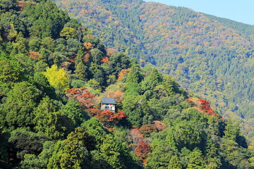 錦秋の嵐山