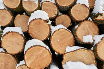 Fototapeta premium stack of wood covered in snow