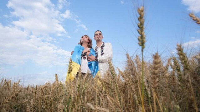 A couple in love on a wheat field, dressed in national clothes and with the flag of Ukraine.