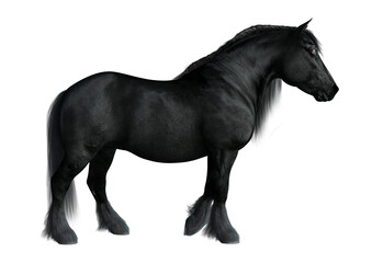 Fototapeta na wymiar Adorable 3d render of a Shetland pony with transparent background. 