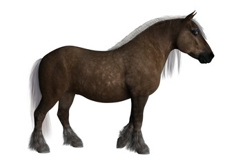 Adorable 3d render of a Shetland pony with transparent background. 