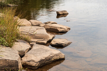 Snake on the rocks
