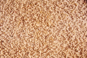 Many scattered stones on decorative beige layer of plaster
