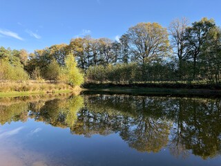 Fototapeta na wymiar autumn trees reflected in water lake in lengerich, germany