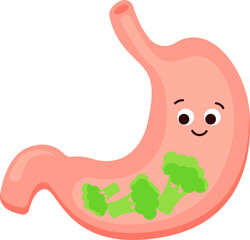 Healthy cartoon stomach flat icon Broccoli diet