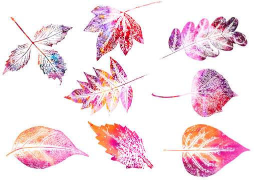 colored texture of foliage imprint on paper, leaf texture on a white background