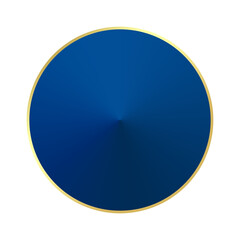 blue dot circle and pin