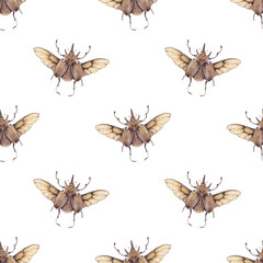 Vintage watercolor seamless pattern with flying rhinoceros beetle, Dynastinae isolated on white background.