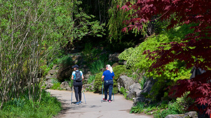 Obraz premium Toronto, Ontario / Canada - 05/15/2022: Two women walking in the public park with walking trekking poles