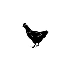 hen vector design