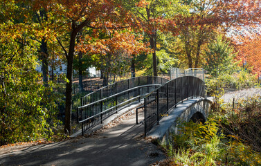 bridge in autumn