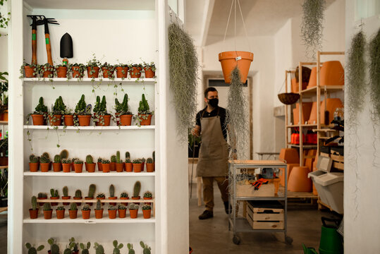Candid scene in the small business plant shop