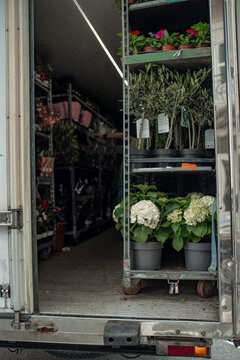 Inside the delivery truck plants shelves