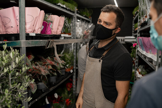 Business owner selecting plant for the store from delivery truck