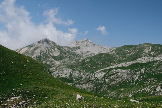 A grassland in a mountain